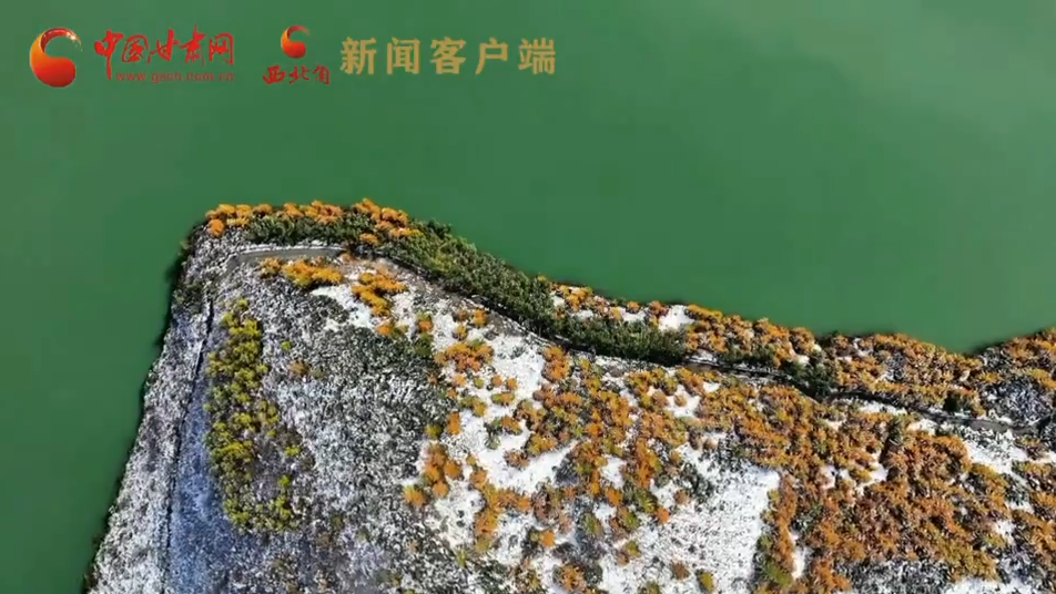 太子山秋韻：高原風拂層林處